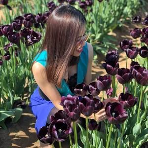 Meet your Posher, Misa